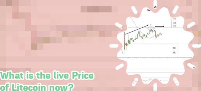 Price of litecoin today